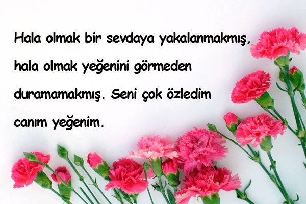 hala yeğen sözleri